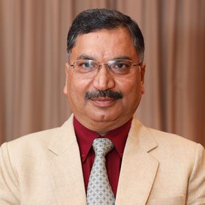 Dr Dinesh Kumar Goyal,  Executive Director, HG Infra Engineering