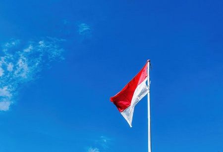 Indonesia's Prabowo Intends to Implement B50 in 2025